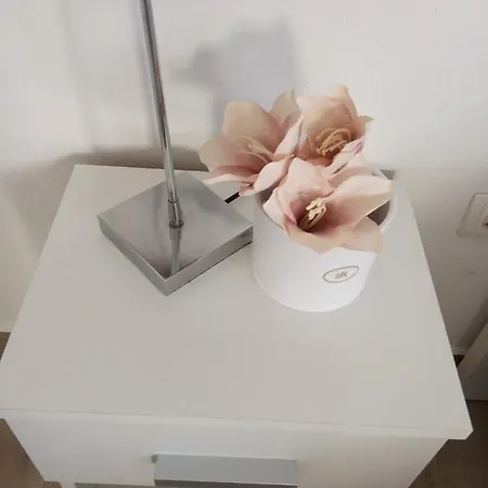 Apartman Punta Radman