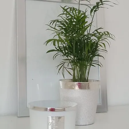 Apartman Punta Radman بيتريتْشاني