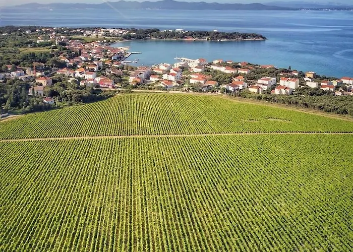 Apartmán Apartman Punta Radman