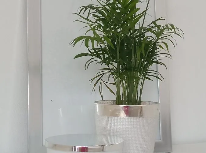 Apartman Punta Radman Petrcane