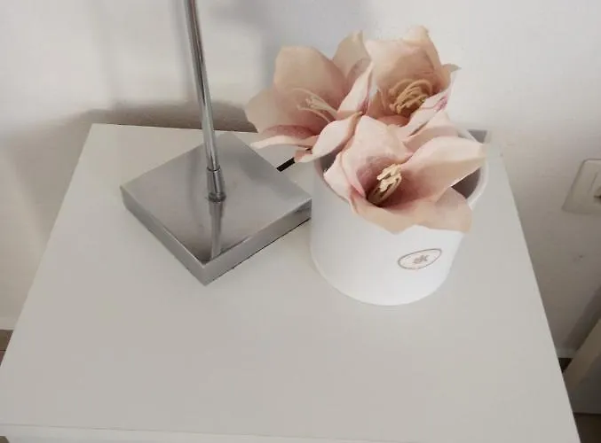 Apartman Punta Radman